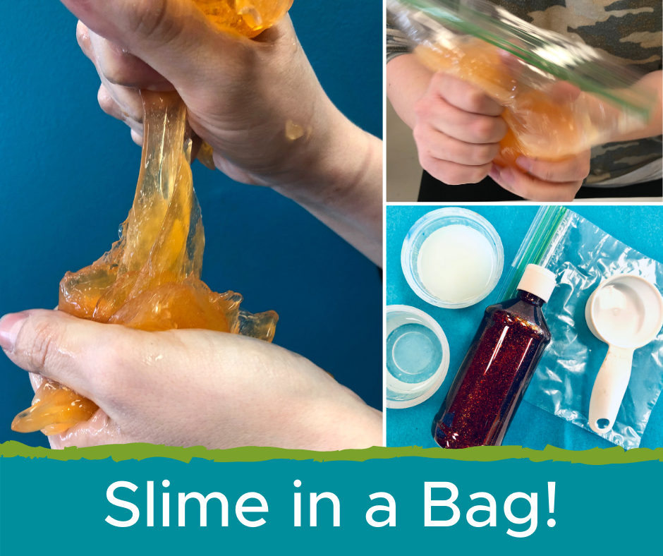 Slime in a Bag